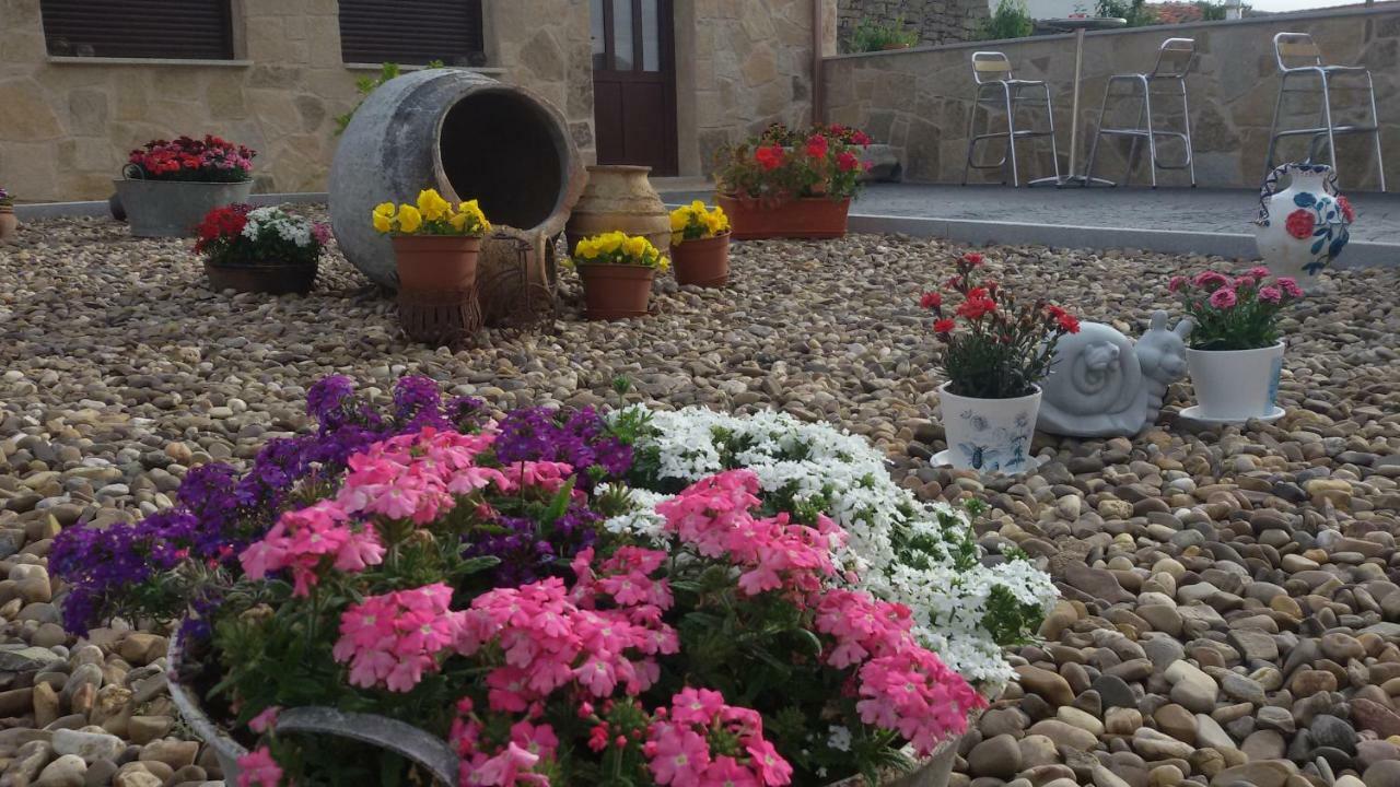 El Pilar De Don Gregorio Guest House Pereruela ภายนอก รูปภาพ